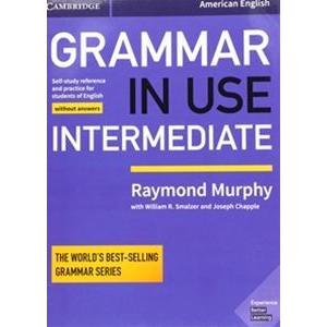 Grammar in Use Intermediate 4／E SB without answers