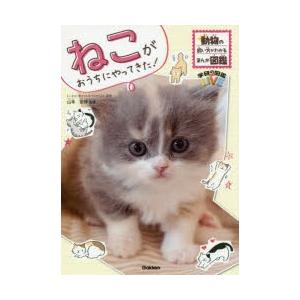 ねこがおうちにやってきた! : ぐるぐる王国 ヤフー店 - 通販 - Yahoo