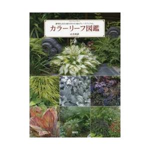 カラーリーフ図鑑 明度と高さの組み合わせで庭をグレードアップする｜guruguru