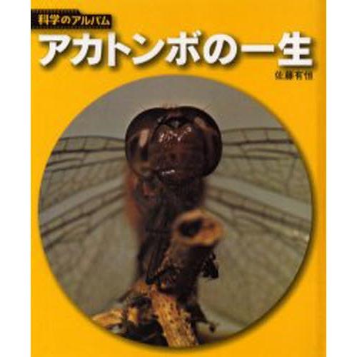 アカトンボの一生 新装版