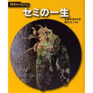 ことばの種 マカロニえんぴつはっとり歌詞集 / はっとり 著 : 京都