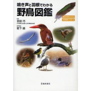 鳴き声と羽根でわかる野鳥図鑑 鳴き声QRコード付 羽根模様イラスト付｜guruguru