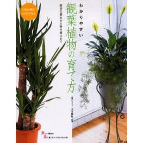 わかりやすい観葉植物の育て方 人気80種のカタログ付き 栽培の基本から寄せ植えまで