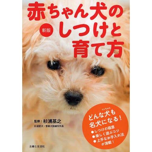 赤ちゃん犬のしつけと育て方