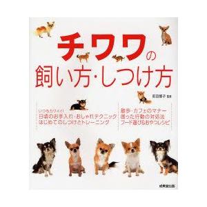 チワワの飼い方・しつけ方｜guruguru