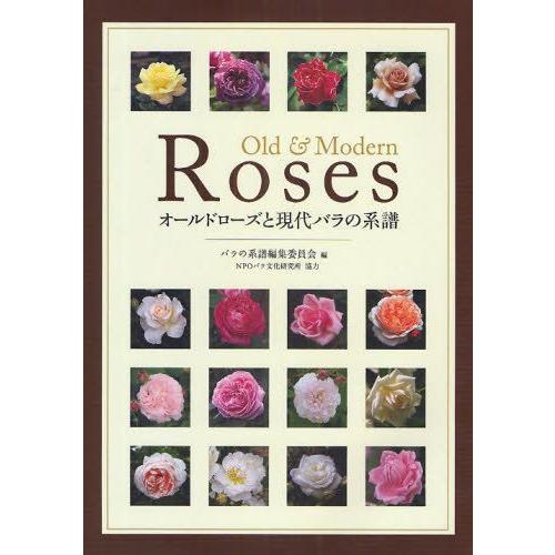 オールドローズと現代バラの系譜