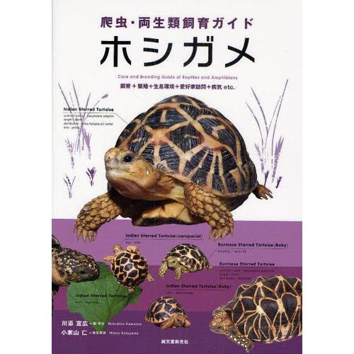 ホシガメ 飼育＋繁殖＋生息環境＋愛好家訪問＋病気etc.