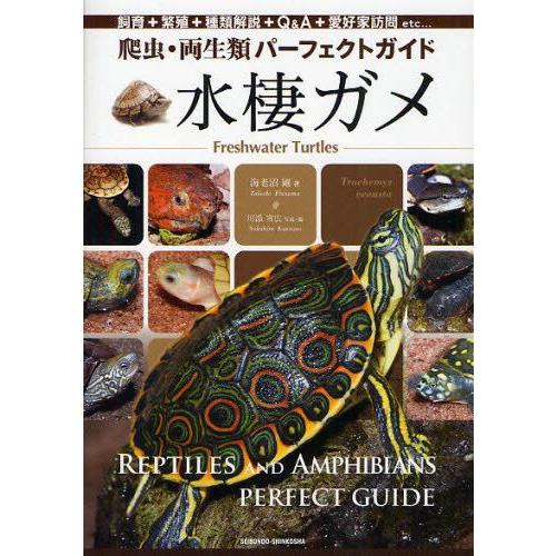 水棲ガメ