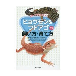 ヒョウモン＆フトアゴの飼い方・育て方 初めてでも大丈夫!｜guruguru