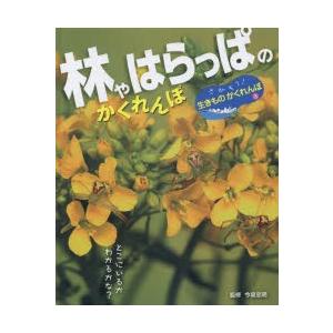 さがそう!生きものかくれんぼ 3