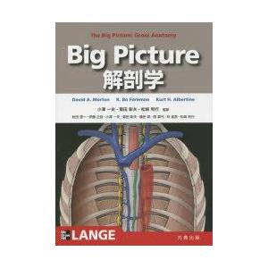 Big Picture解剖学｜guruguru