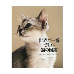 世界で一番美しい猫の図鑑｜guruguru