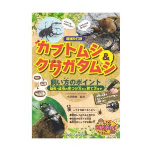 カブトムシ＆クワガタムシ飼い方のポイント 幼虫・成虫の見つけ方から育て方まで｜guruguru