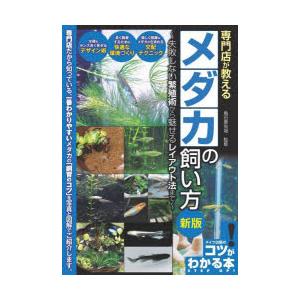 専門店が教えるメダカの飼い方 失敗しない繁殖術から魅せるレイアウト法まで｜guruguru