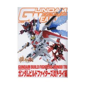 ガンダムウェポンズ ガンダムビルドファイターズ炎トライ編｜guruguru