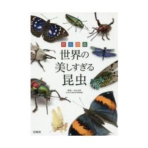 原色図鑑世界の美しすぎる昆虫｜guruguru