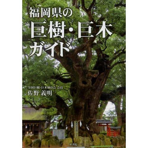 福岡県の巨樹・巨木ガイド