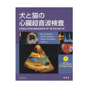 犬と猫の心臓超音波検査｜ぐるぐる王国 ヤフー店