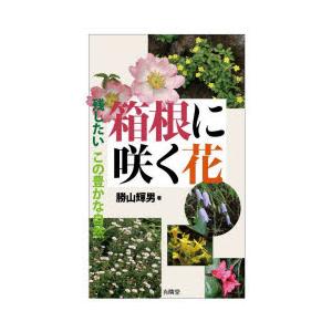 箱根に咲く花｜guruguru