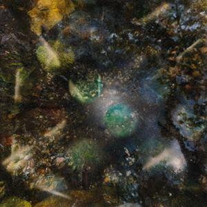 Green-House / A Host for All Kinds of Life [CD]