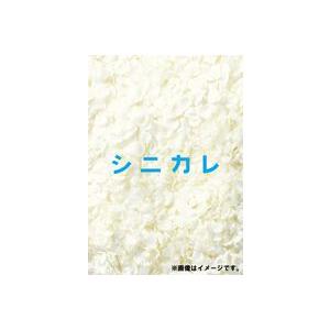 シニカレ完全版 DVD-BOX [DVD]