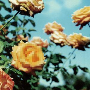 globe / Relation（初回生産限定盤） [レコード 12inch]