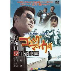 岸和田愚連隊 ゴーイングマイウェイ [DVD]