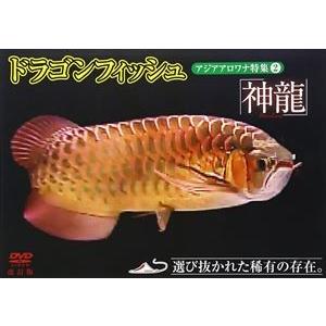 DVD+CD】最新版 ミライコイングリッシュ/Miraico English : PC style