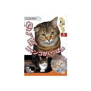 動物ムービー DVDシリーズねこ（猫）ざ ランド 1（ねこ、猫、ニャンコがいっぱい） [DVD]｜guruguru