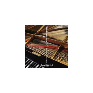 Purple Jazz Project / 暴走JAZZ弐：ピアノヴァージョン [CD]