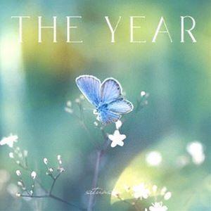 situasion / THE YEAR [CD]｜guruguru