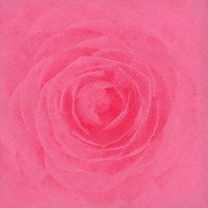 RAY / Camellia [CD]