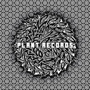 PLANT RECORDS V.A. BLACK [CD]｜guruguru