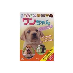 動物大好き! ワンちゃんスペシャル100 [DVD]｜guruguru