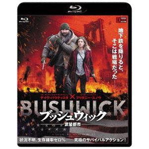 ブッシュウィック ―武装都市― [Blu-ray]