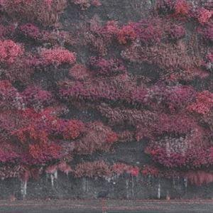 スリープ・トークン / イーヴン・イン・アーケイディア [CD]