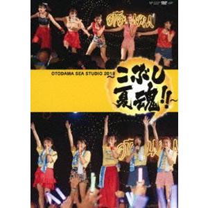 こぶしファクトリー／OTODAMA SEA STUDIO 2018 〜こぶし夏魂!!〜 [DVD]
