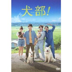 犬部! DVD（通常版） [DVD]