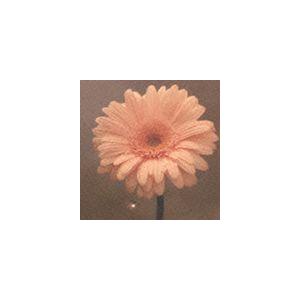 花は咲くプロジェクト / NHK 明日へ 東日本大震災復興支援ソング： 花は咲く（通常盤） [CD]