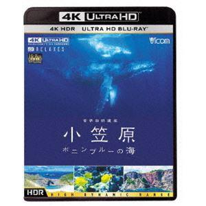 ビコム 4K Relaxes 世界自然遺産 小笠原 〜ボニンブルーの海〜 [Ultra HD Blu...