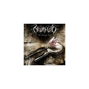 ノーオッド / ザ・ブレイジング・リリィ [CD]