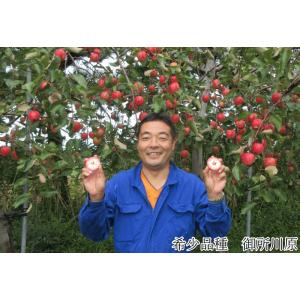 りんごジュース 青森 希少品種 赤〜いりんご ...の詳細画像1