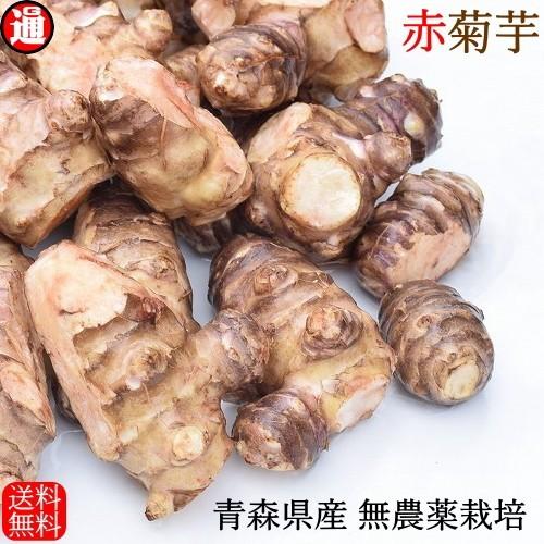 赤菊芋 菊芋 1kg 送料無料 栽培期間中農薬不使用 洗浄済み 訳あり 不揃い 青森県産 生菊芋 き...