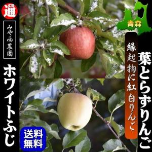 送料無料 葉取らずふじ＆ホワイトふじ 2kg 青森りんご 秀品 紅白の縁起物 ご贈答用 葉とらずふじりんご
