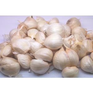 にんにく 500g 青森 生産者直送 バラ 皮...の詳細画像3