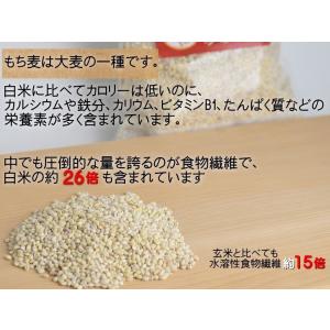 もち麦 10kg 5kg ×2 もち麦 国産 ...の詳細画像2