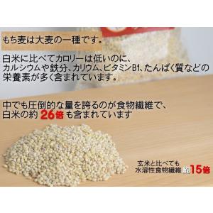もち麦 国産 送料無料 はねうまもち 青森県産...の詳細画像2