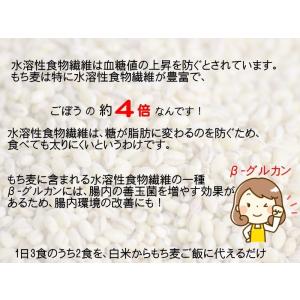 もち麦 国産 送料無料 はねうまもち 青森県産...の詳細画像3