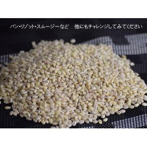 もち麦 国産 送料無料 はねうまもち 青森県産...の詳細画像5