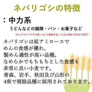 ネバ玄粒 小麦 国産 玄小麦 ネバリゴシ 80...の詳細画像5